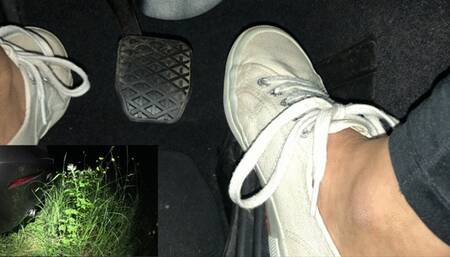 Ms Curious pedal pumping in her BMW, revving diesel fumes on plants