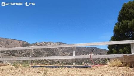 Yoga With Greyhound (Nature Edition 2)