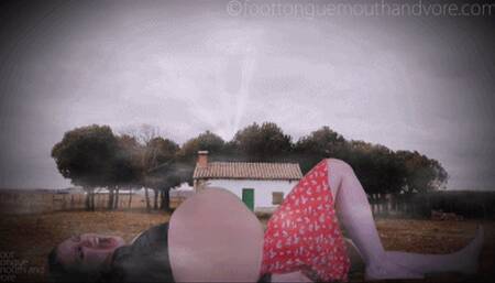 Digesting An Entire Family