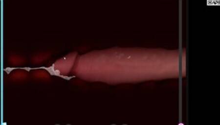 [Gameplay] Complete Gameplay - My New Life: REVAMP, Part 18