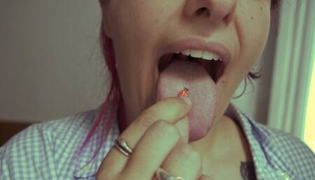 La Entrevista de Trabajo - Eva Autumn (spanish audio)