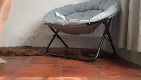 Milah Addicted to my Wolford Pantyhose