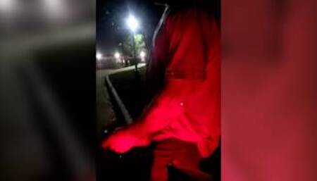 WildJayWants2play - jacking off on the side of road in front of a X-Rated pornshop