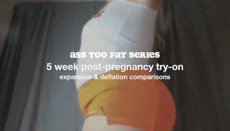 ASS TOO FAT! POST-PREGNANCY FIRST LOOK PLUS TRY-ON