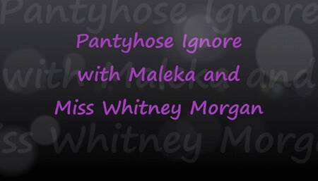 Maleka & Miss Whitney Morgan: Pantyhose Ignore POV
