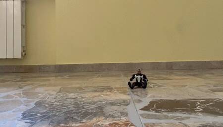 Giantess crushing this little alien with her feet and ass Gigantessa schiaccia il piccolo alieno col suo culo e con i piedi