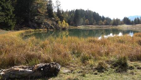 GEA DOMINA - Three Mistresses riding a pony