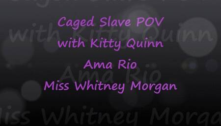 Caged Slave At The Feet Of Kitty Whitney Ama
