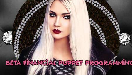 Beta Financial Programming