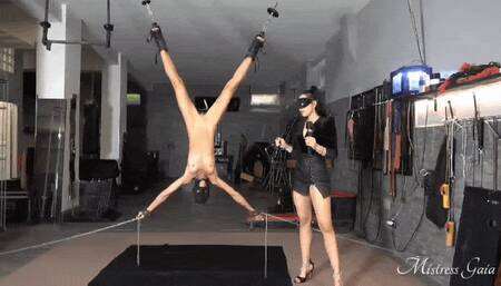 MISTRESS GAIA - UPSIDE DOWN GAMES - mobile version