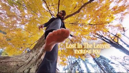 Lost In The Leaves EXTREME POV - HD 1080p Version