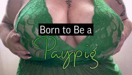 Born to Be a Paypig