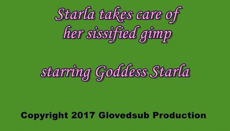 Starla takes care of her sissified gimp MP4 Full HD (1080p) starring Goddess Starla