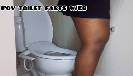 Smelly Toilet Farts