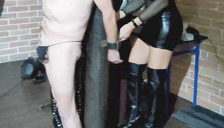 Our poor bitch training