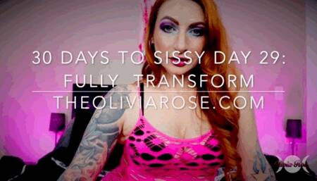 30 Days To Sissy Day 29: Fully Transform (MP4 SD)
