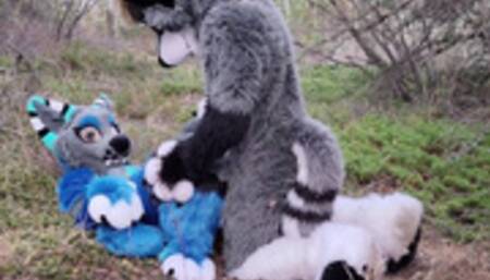 Horny furries fuck in the wild