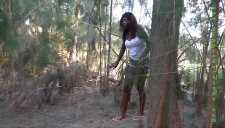 A Fairy in the Forest  HD