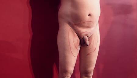 Target practice with my Bullwhip