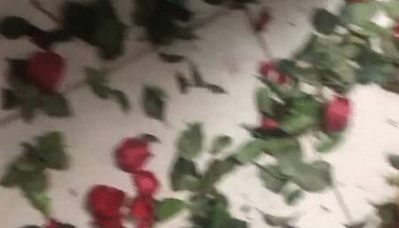 dirty feet cinderella