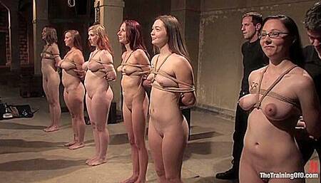 Sarah Shevon, Savannah West And Sasha Lexing In The Auditions Part One