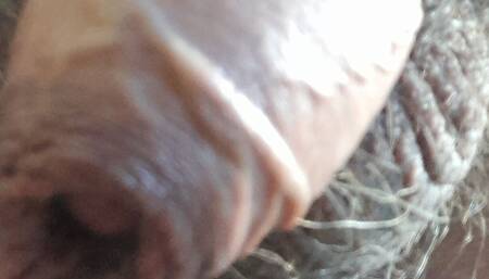 Penis Wichsen