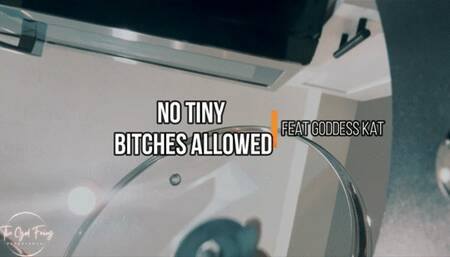 NO tiny BITCHES ALLOWED!!!