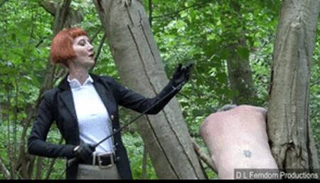 Disciplining the Stableboy