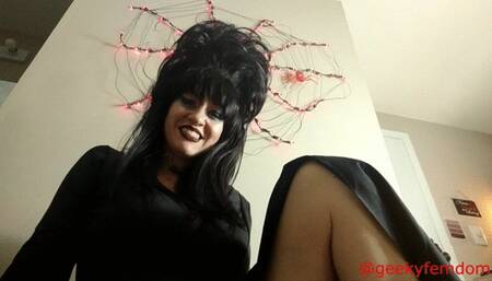 Elvira Mistress of the Dark collection