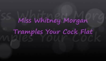 Miss Whitney Morgan Tramples Your Cock Flat