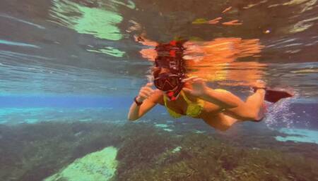 Maui Maui mermaid tail