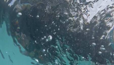 Underwater selfie play time