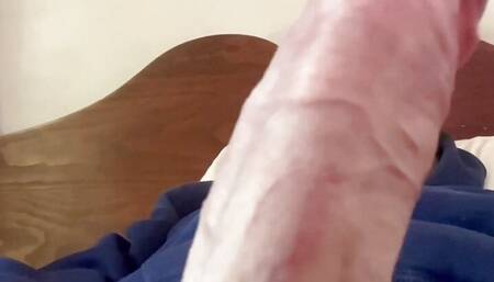 Raw Sausage