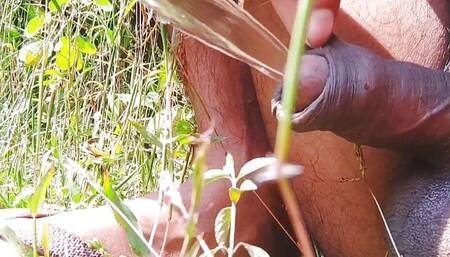 Indian Boy Pissing In Open Park