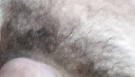 MrPenis