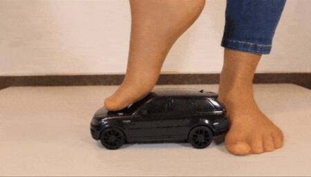 Roxy Toy Car Crush