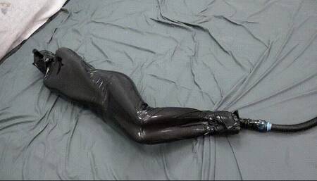 Black encasement