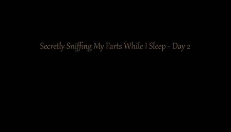 Secretly Sniffing My Farts While I Rest - Day 2 (Audio Only)