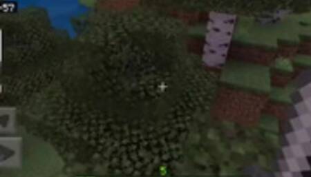 Minecraft gameplay // hunting food //