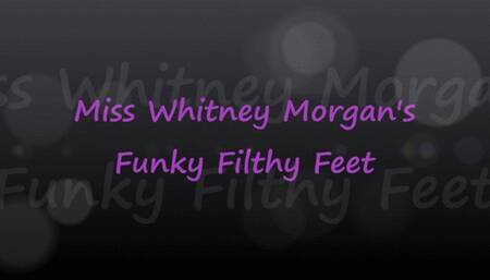 Miss Whitney Morgan: Chucks Funky Filthy Feet