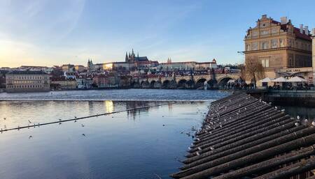 {{{{**Make Miss Ella Come**}}}}}