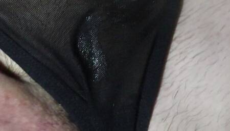 Sissy CD in Black Thong Rubs Cock Til Cum