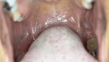 Sensual Giantess Vore Tease POV With Honey Dew (HD 1080p MP4)