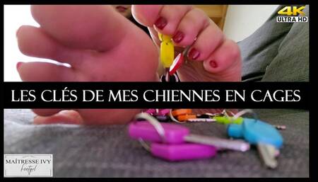 Les clés de mes chiennes en cages