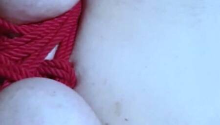 Nipple sucker torment on a breast bound woman