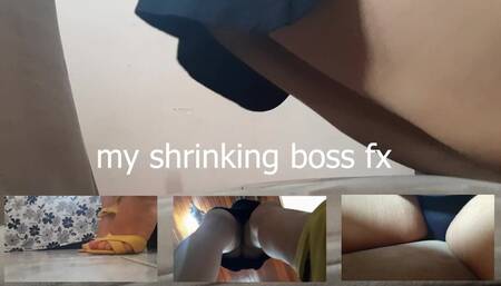 the shrinking boss