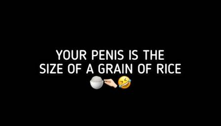 YOUR PENIS IS THE SIZE OF A GRAIN OF RICE!!!!!!