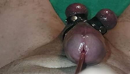Urethra sounding, cockrings, and a painful cumshot!!
