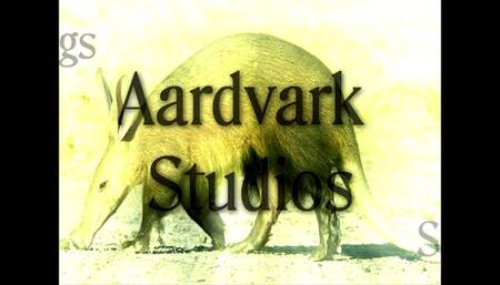 SiteSet 379- Trash the White 120mm Heels