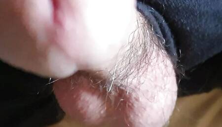 Cock twitch